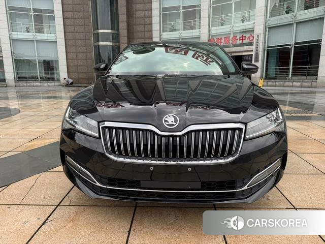 Skoda Speed pie id 4374487 из Китая 17
