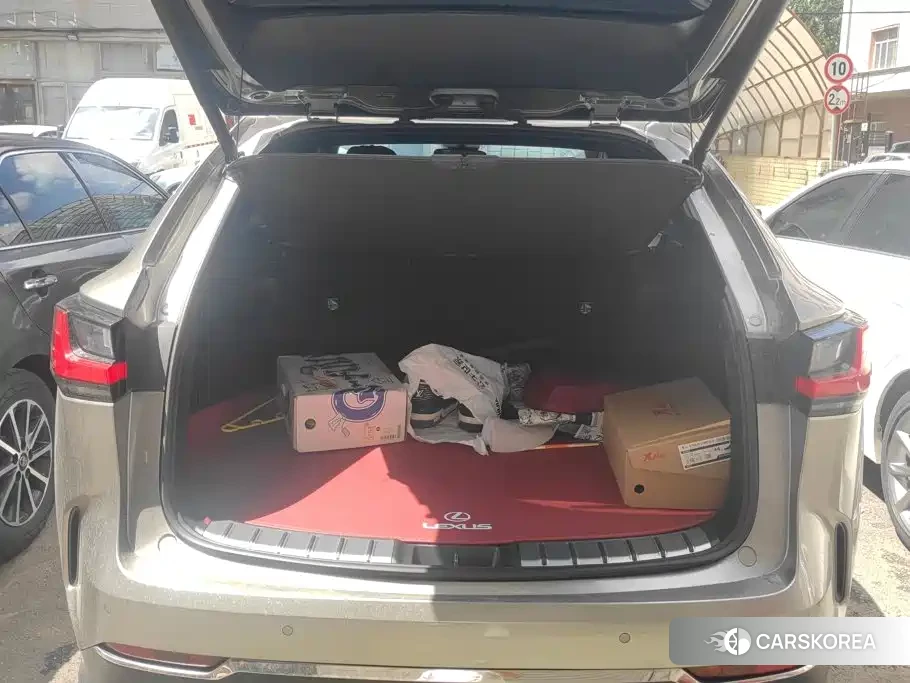 Lexus NX id 4664421 из Китая 13