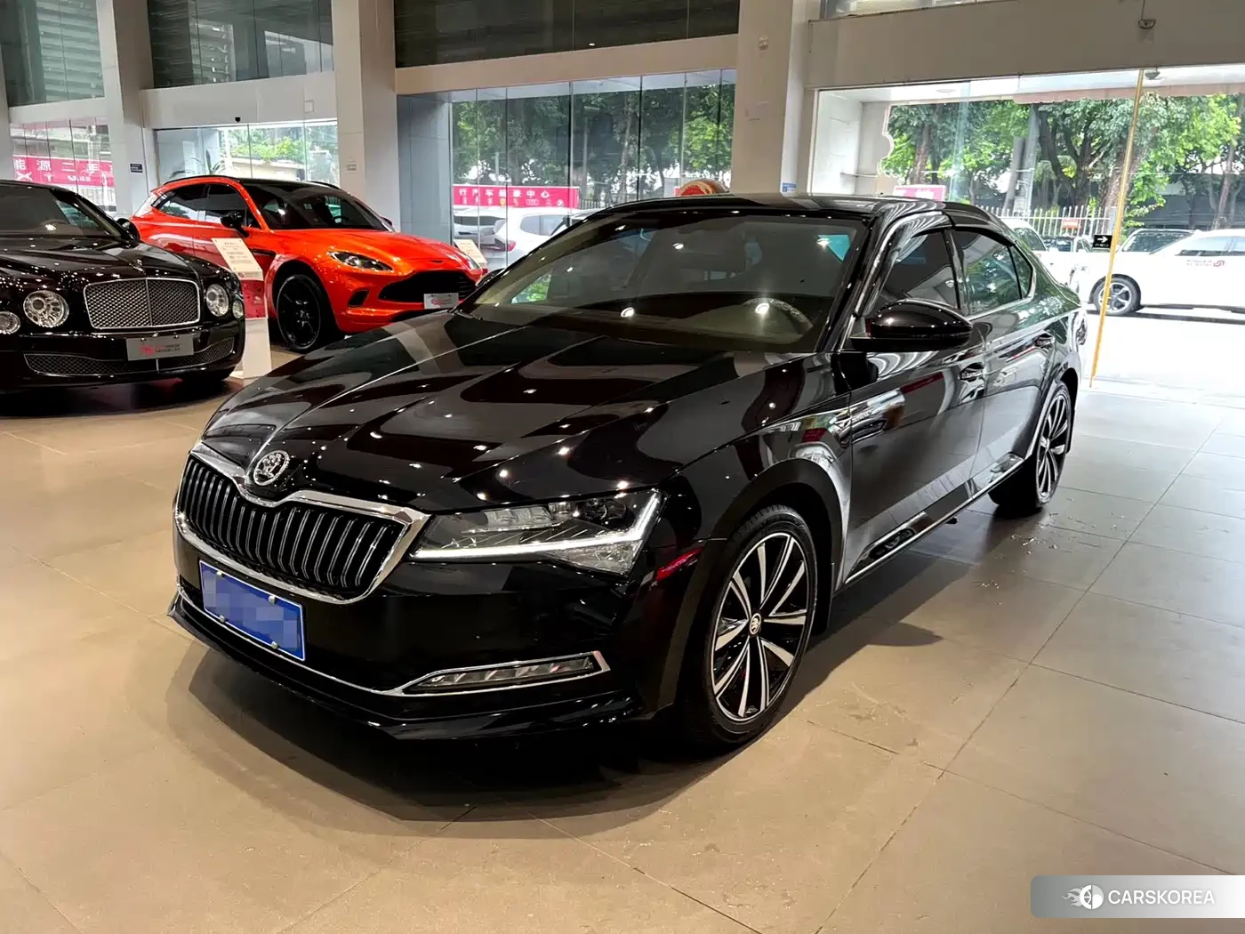 Skoda Speed pie id 4547315 из Китая 21