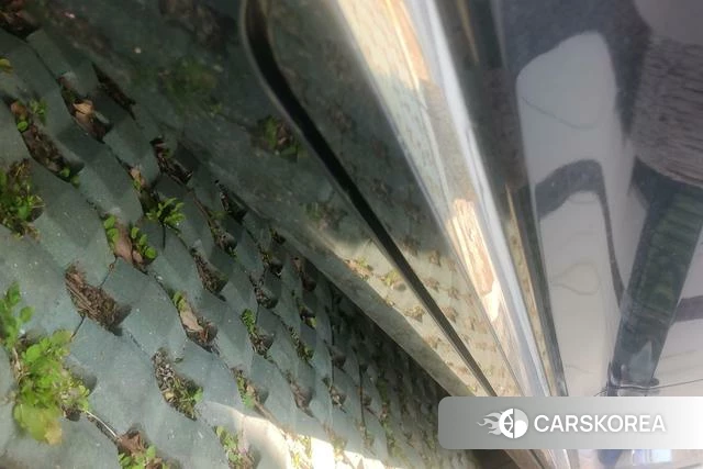 Volkswagen Magotan id 4301479 из Китая 15