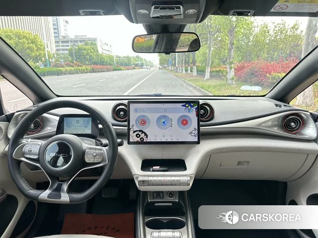 BYD dolphin id 3983308 из Китая 15