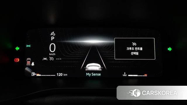 Renault Korea (Samsung) Arcana id 4441491 из Кореи 29