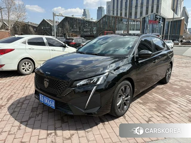Peugeot 408 id 4190501 из Китая 8