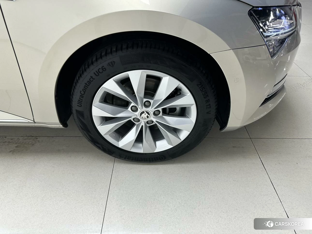 Skoda Speed pie id 4420812 из Китая 17