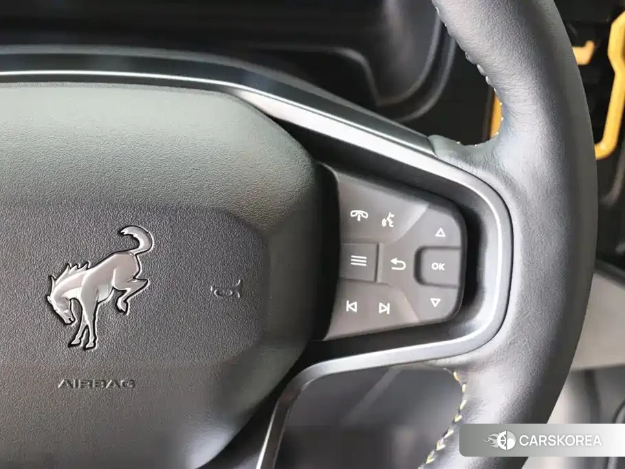 Ford Mustang id 4559643 из Китая 32