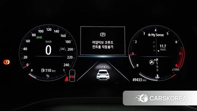 Renault Korea (Samsung) XM3 id 4375627 из Кореи 18