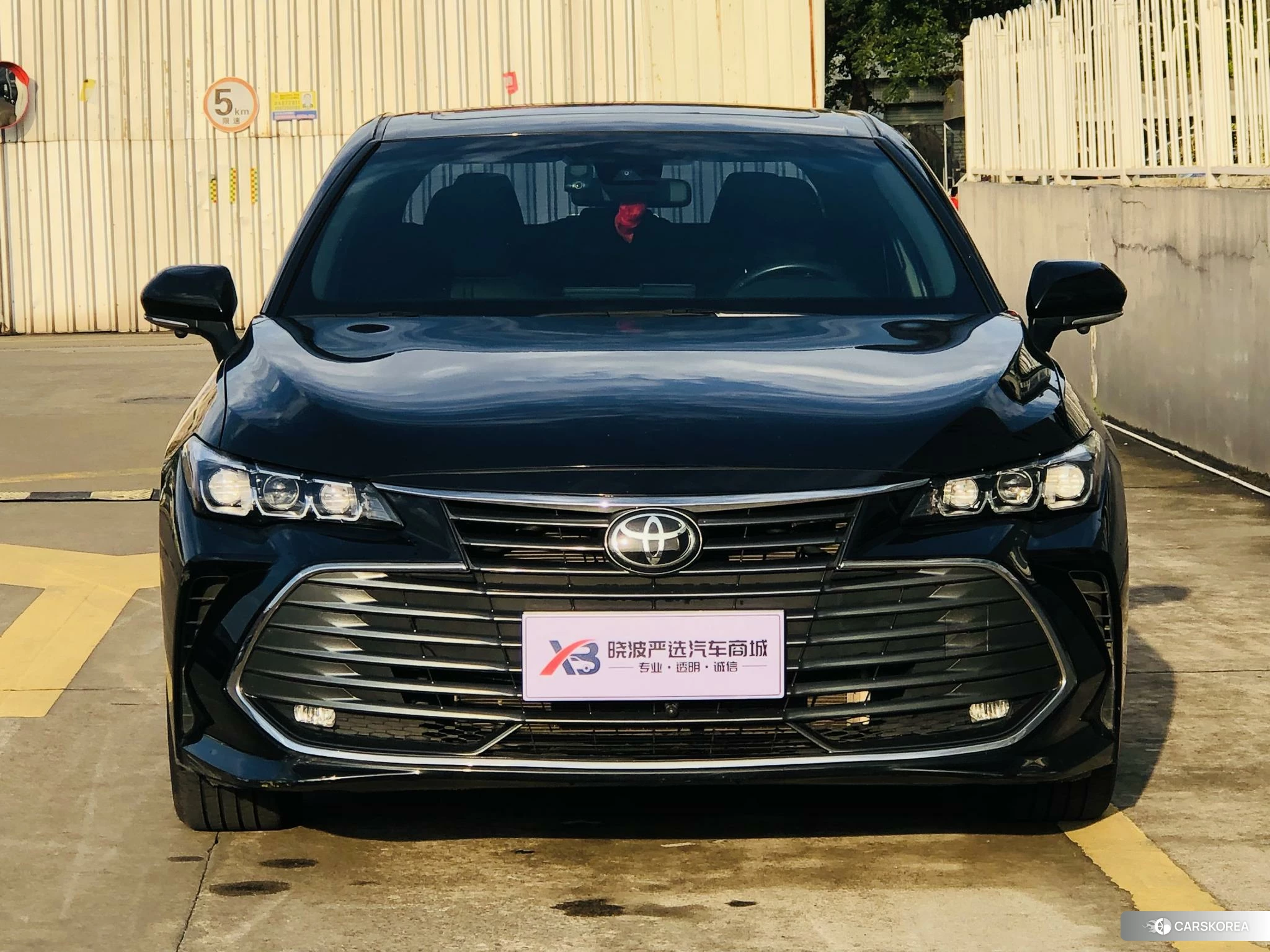 Toyota Asian dragon id 4407678 из Китая 16
