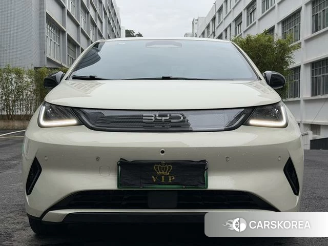 BYD dolphin id 4205632 из Китая 19