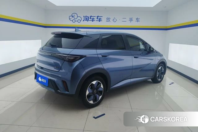 BYD dolphin id 3908231 из Китая 15