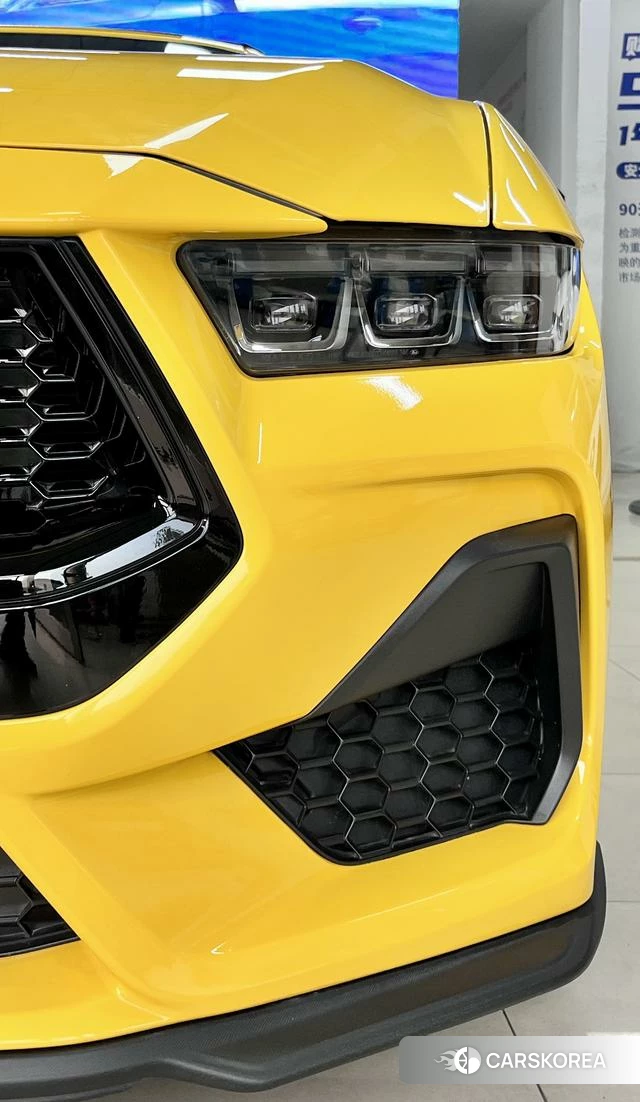 Ford Mustang id 4209132 из Китая 27