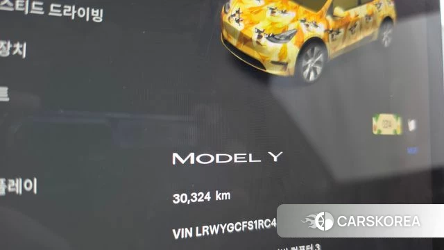 Tesla Model Y id 4710836 из Кореи 29