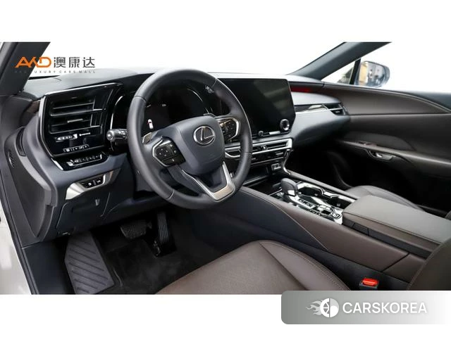 Lexus RX PHEV id 4291291 из Китая 8
