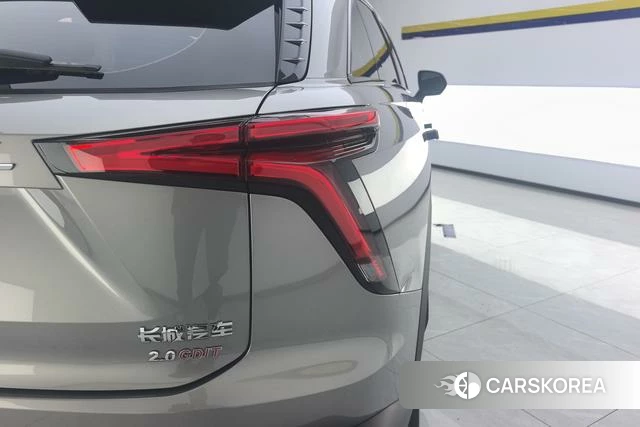 Haval Divine beast id 4212356 из Китая 15