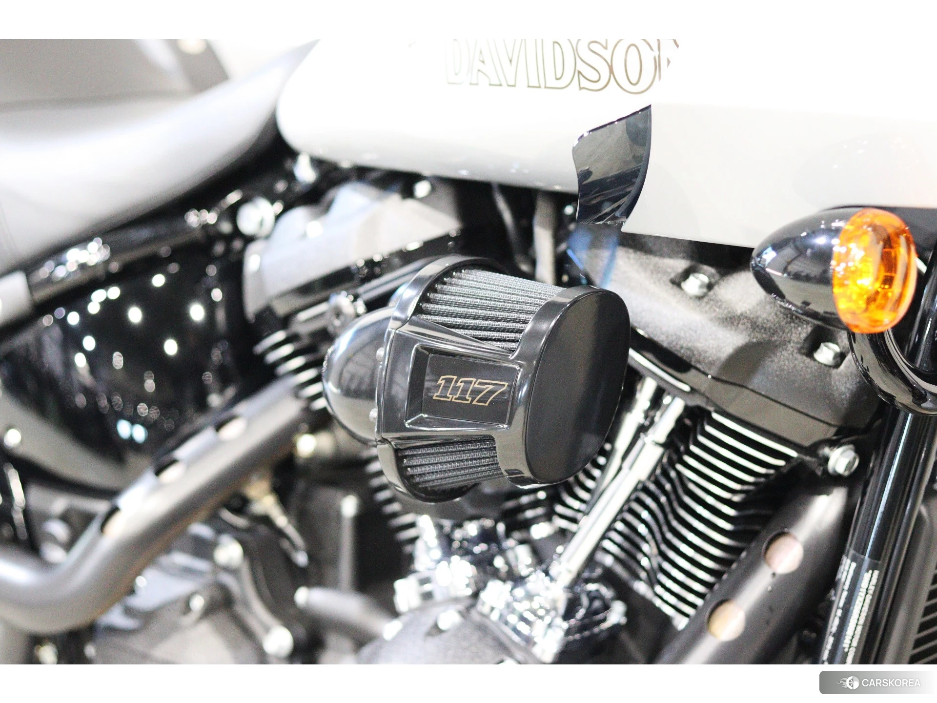 Harley-Davidson Softail Low Rider ST FXLRST1920 id 4380304 из Японии 14