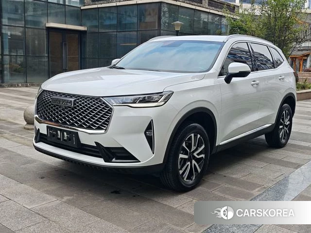 Haval H6 id 4215146 из Китая 19