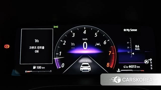 Renault Korea (Samsung) XM3 id 3859183 из Кореи 18
