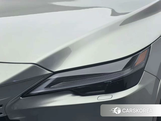 Lexus RX PHEV id 4222330 из Китая 13