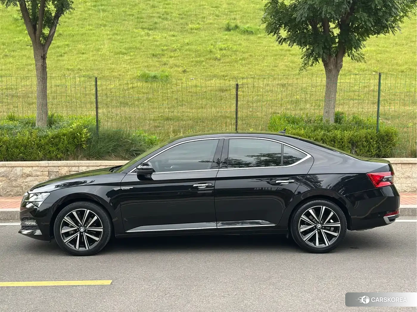 Skoda Speed pie id 4515554 из Китая 15