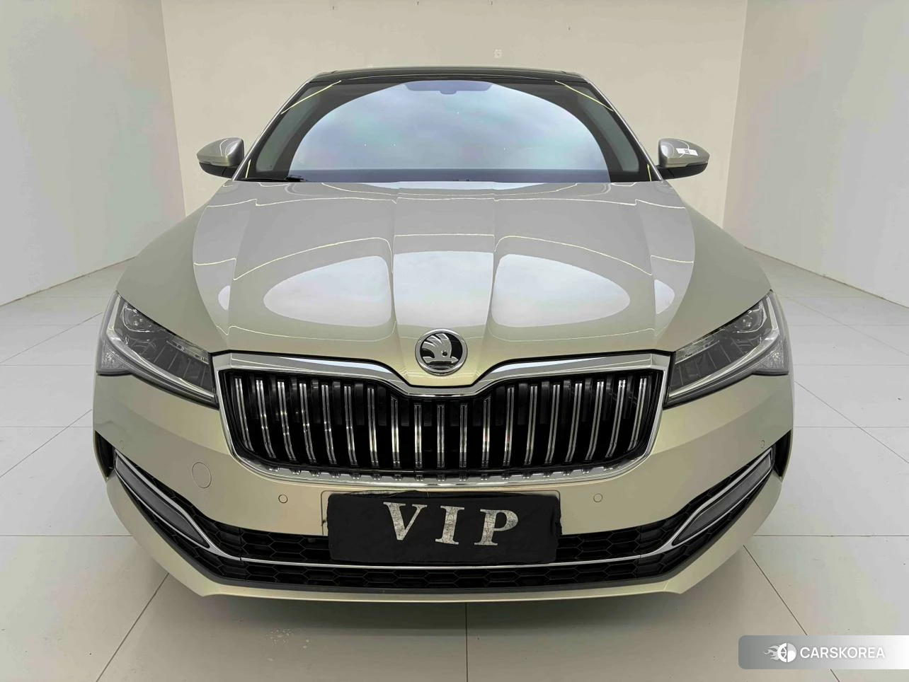 Skoda Speed pie id 4468076 из Китая 14