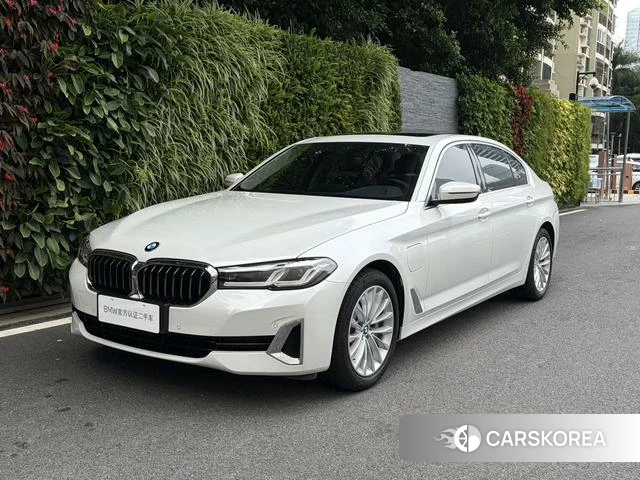 BMW 5 series PHEV id 4301277 из Китая 12