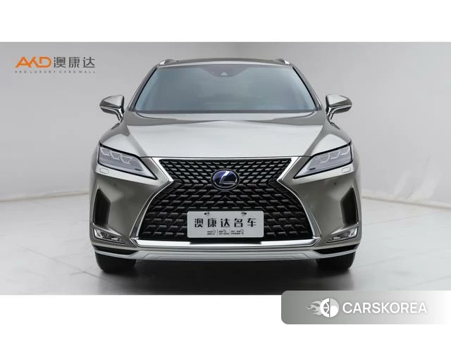 Lexus RX id 4262232 из Китая 8