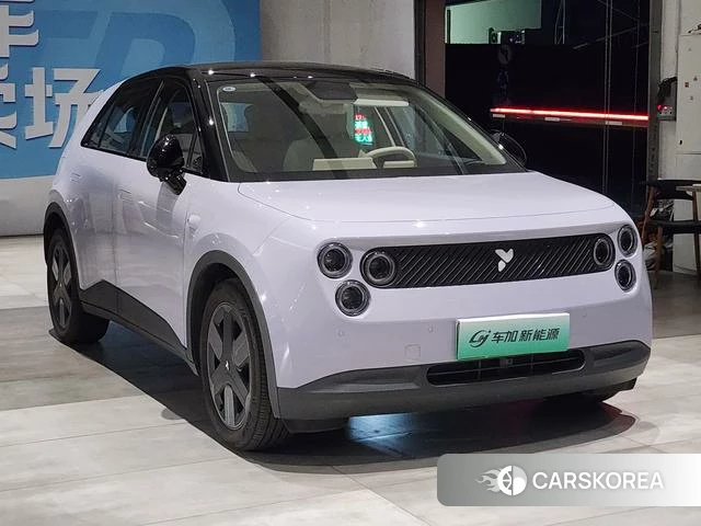 firefly firefly Unknown id 3983165 из Китая 8