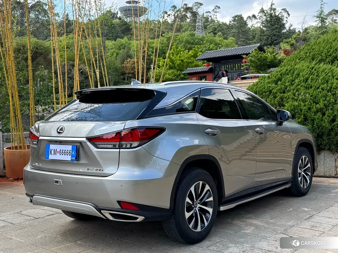 Lexus RX id 4601076 из Китая 19