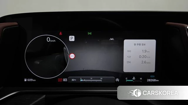 Genesis G90 (RS4) id 4711315 из Кореи 39