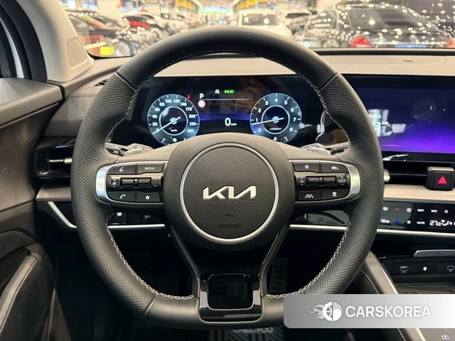 Kia Lion Platinum expands the world id 4297723 из Китая 34