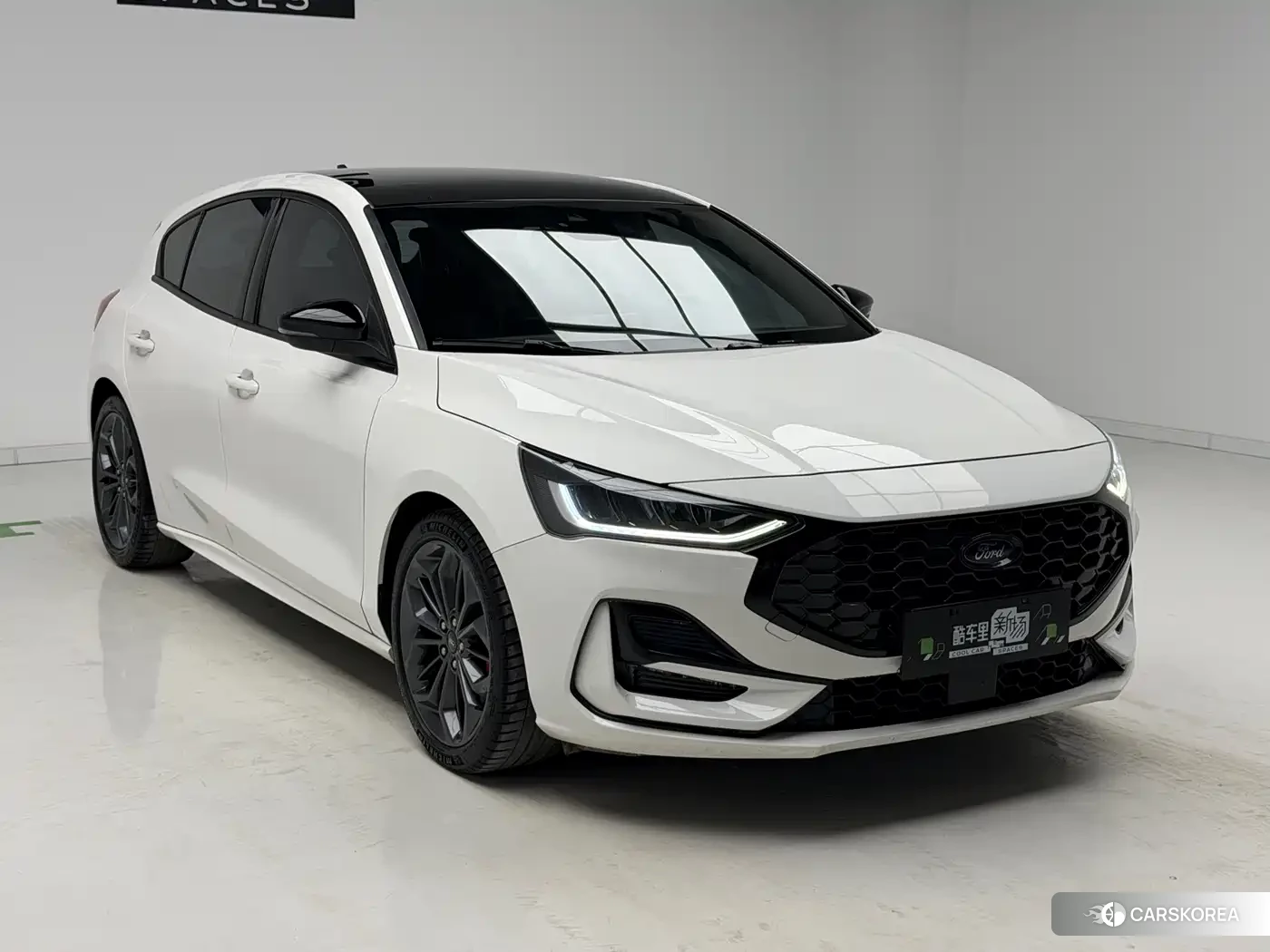 Ford Fox id 4659856 из Китая 16