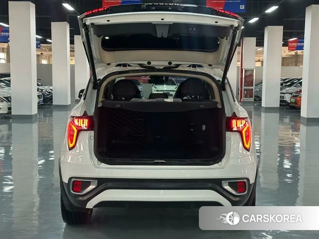 Lynk 01 id 4240211 из Китая 13