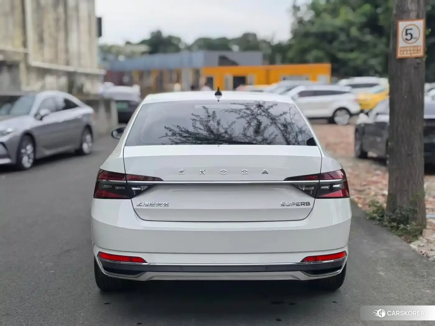 Skoda Speed pie id 4546086 из Китая 10