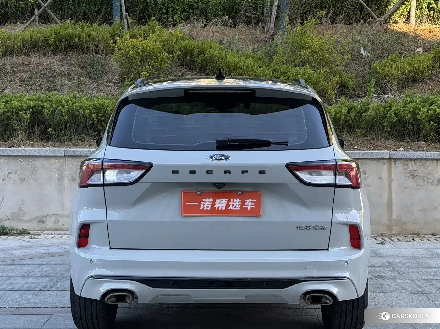 Ford Ruiji id 4515505 из Китая 11