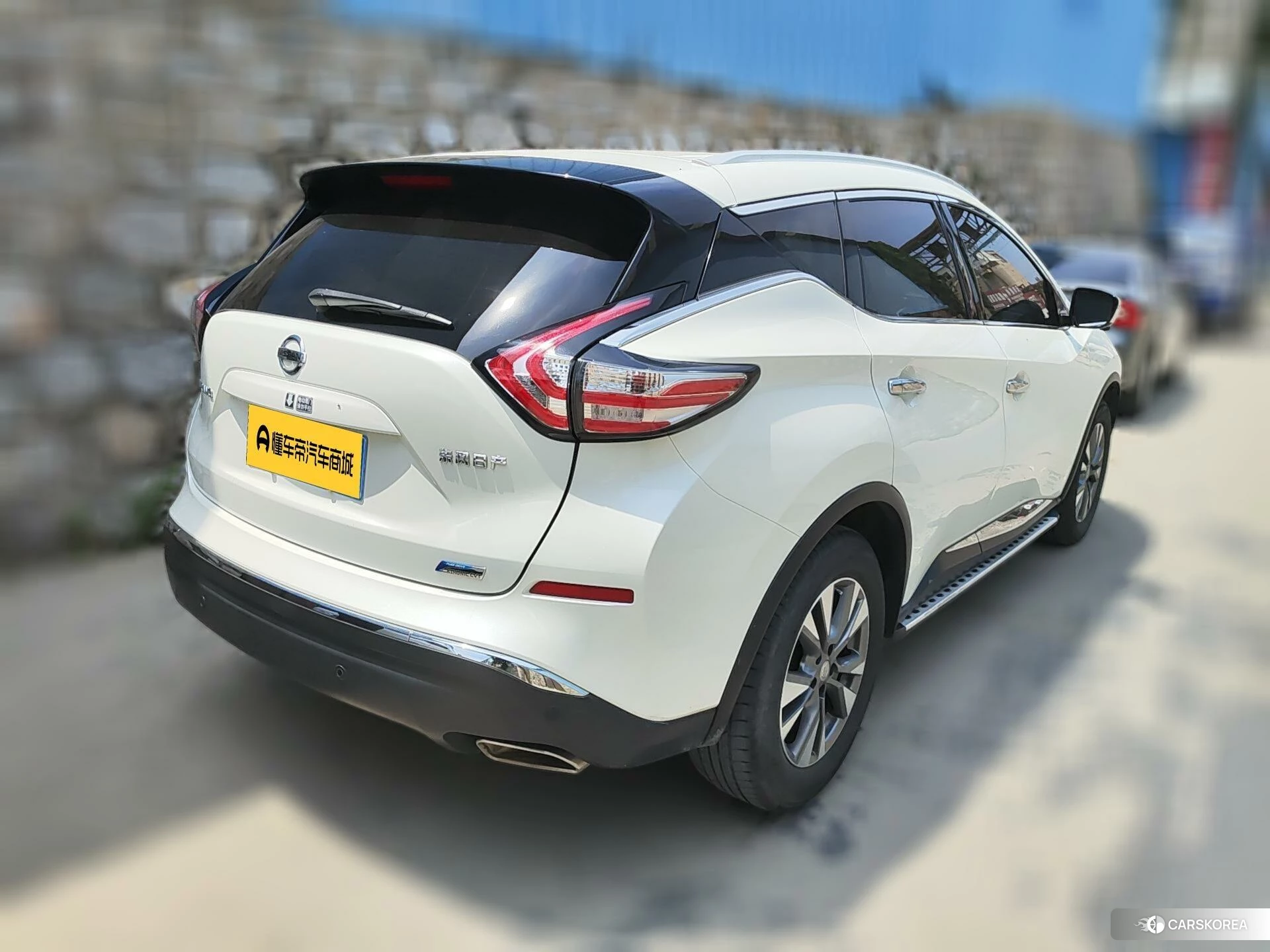 Nissan Loulan id 4513849 из Китая 19