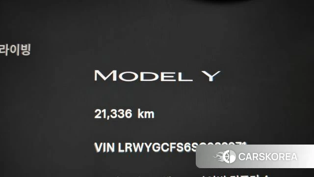 Tesla Model Y id 4523248 из Кореи 18