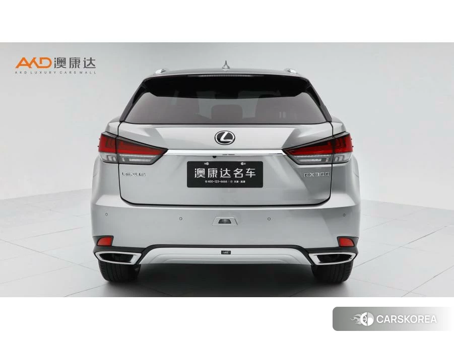 Lexus RX id 4479290 из Китая 8