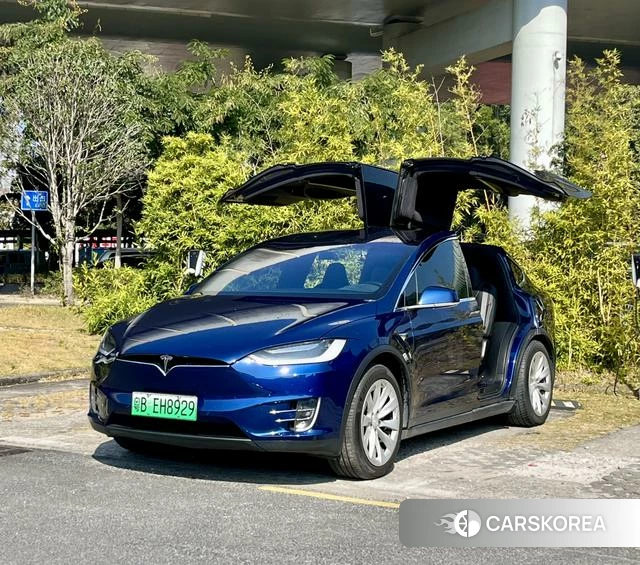 Tesla Model X id 4212926 из Китая 19