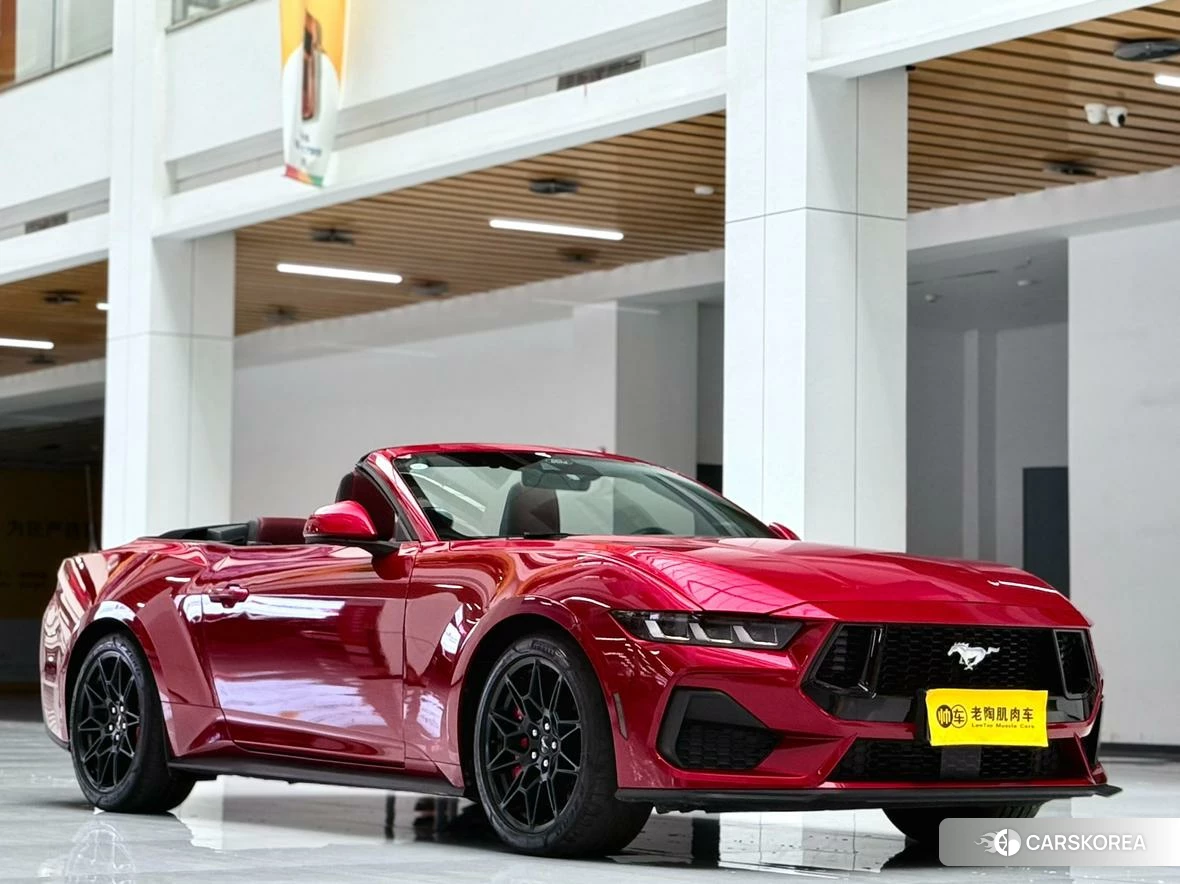 Ford Mustang id 4426686 из Китая 8