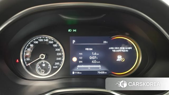 Genesis G80 (RG3) id 4500409 из Кореи 18