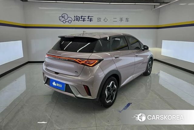 BYD dolphin id 3907870 из Китая 15