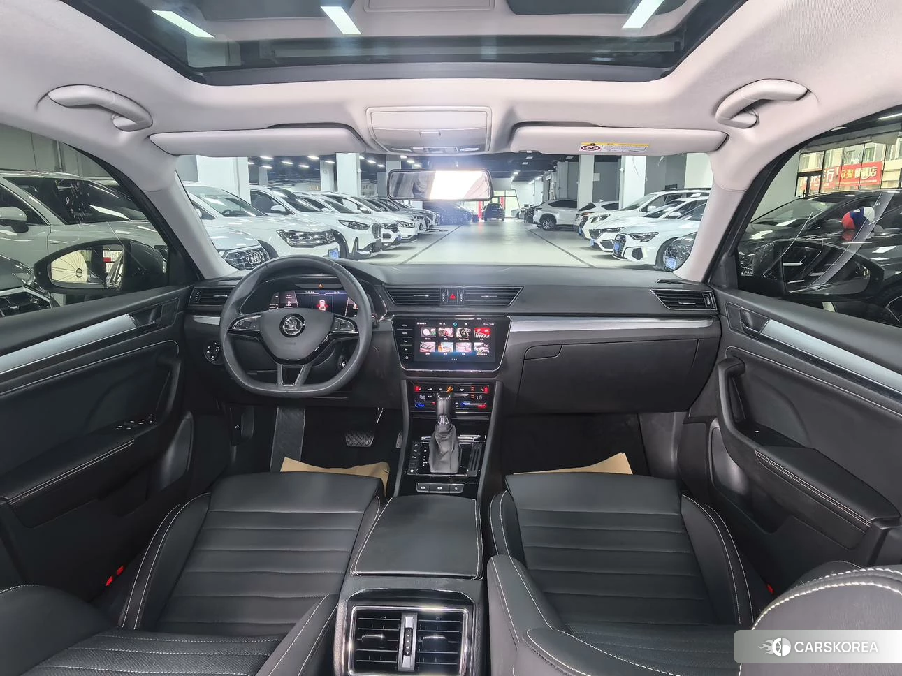 Skoda Speed pie id 4452178 из Китая 23