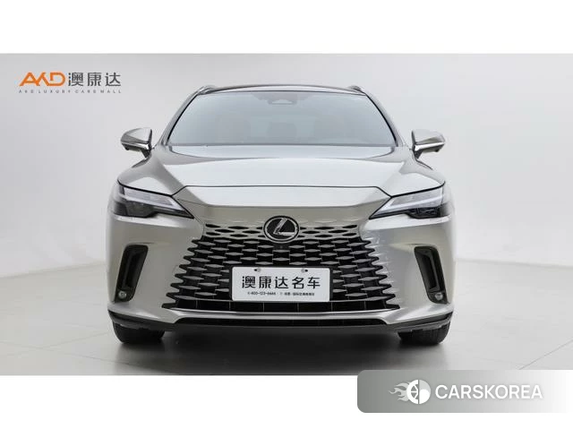 Lexus RX id 4262024 из Китая 8