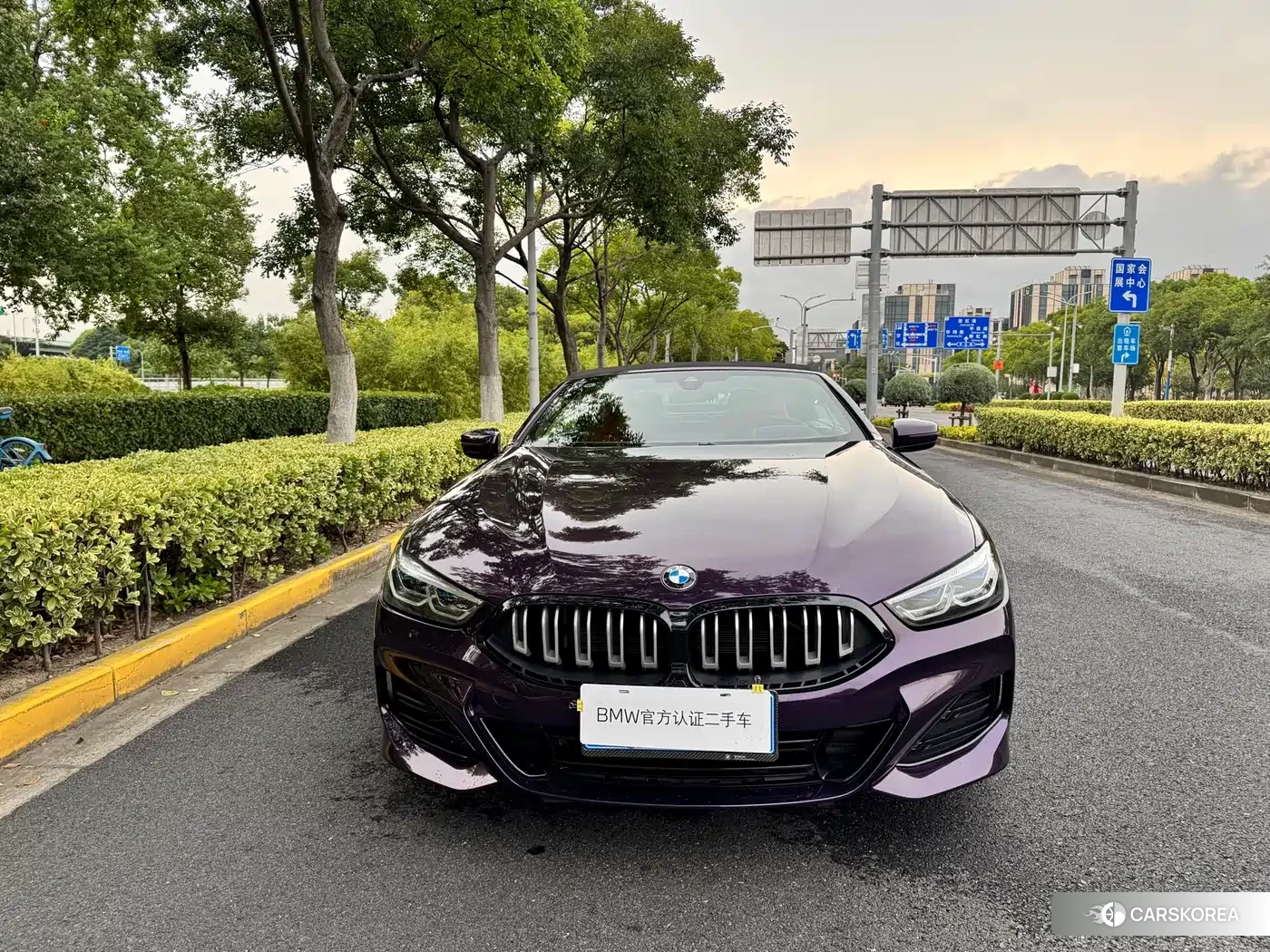 BMW 8 series id 4622352 из Китая 8