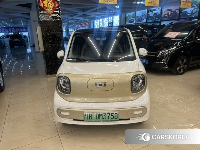 Pentium pony id 4198935 из Китая 9