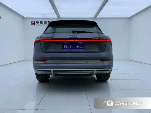 Audi e-tron id 4320985 из Китая 29
