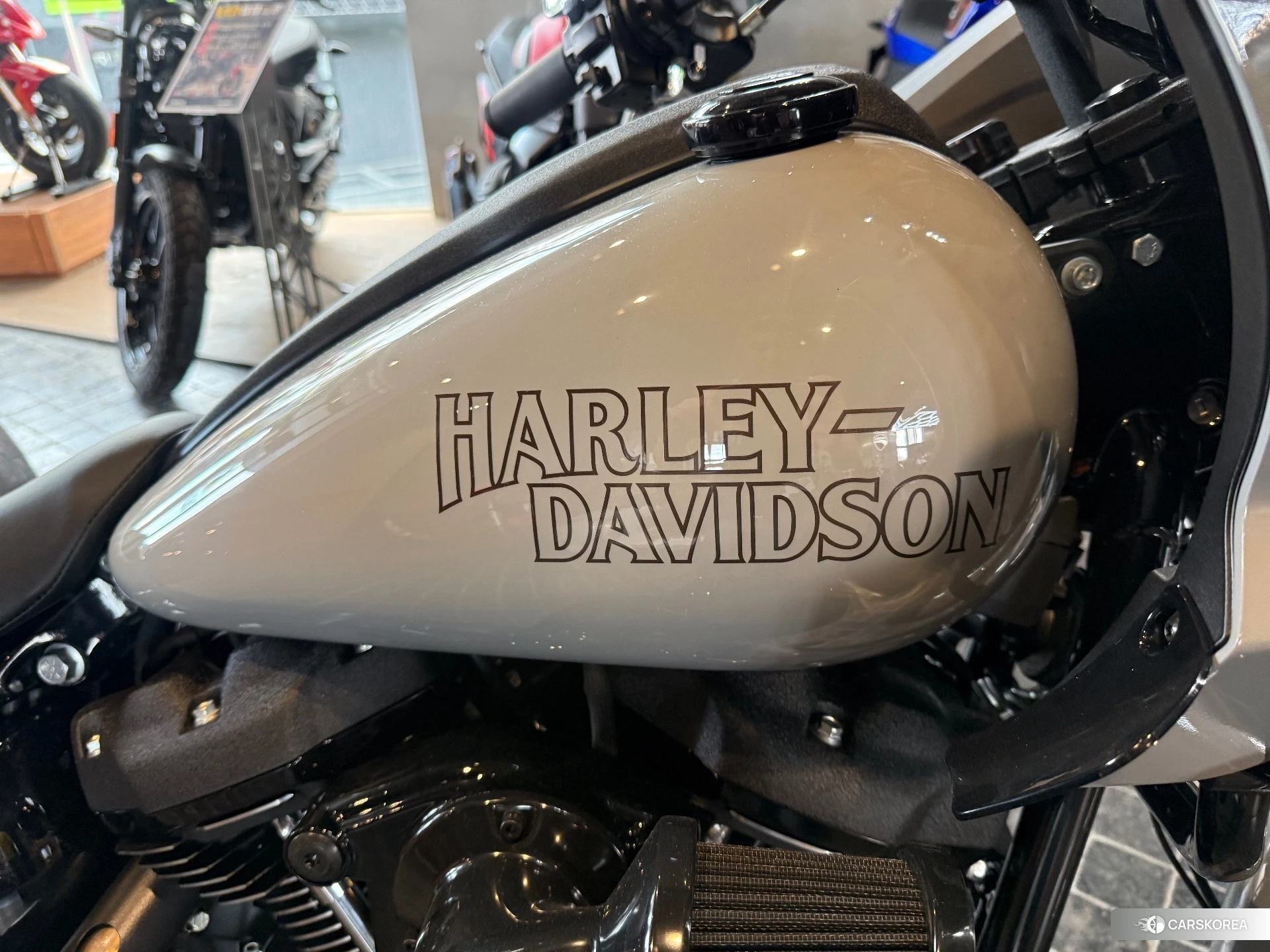 Harley-Davidson Softail Low Rider ST FXLRST1920 id 3950561 из Японии 10