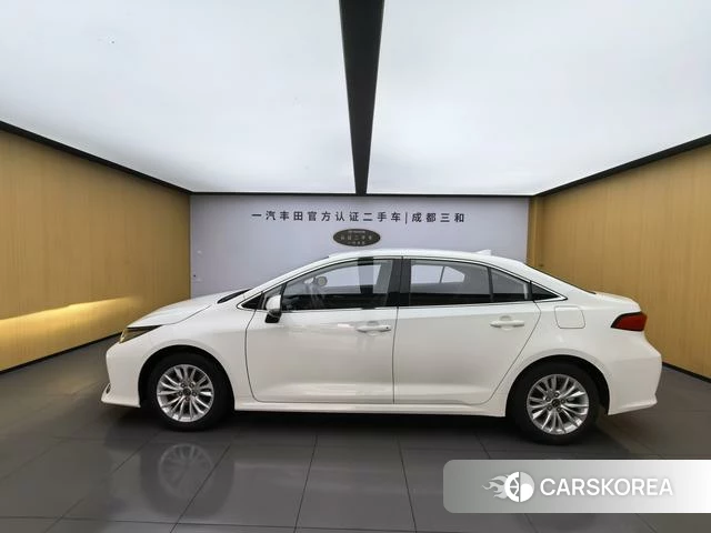 Toyota Asian lion id 4254208 из Китая 19