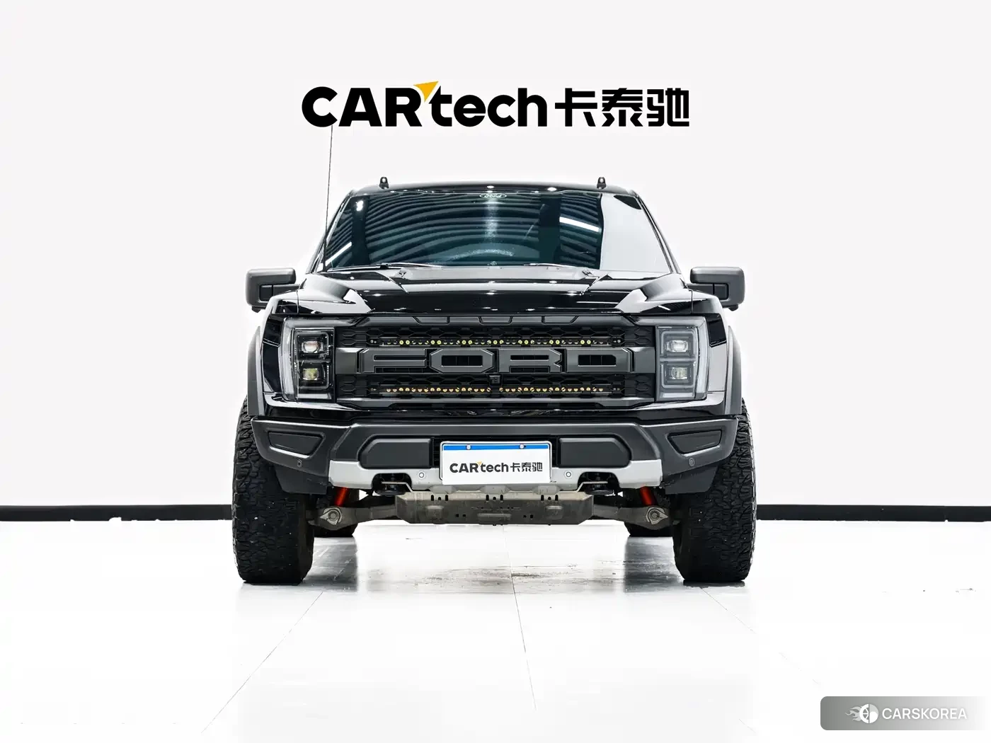 Ford F-150 id 4599640 из Китая 23