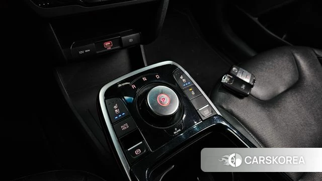 Kia Niro EV id 4403452 из Кореи 19