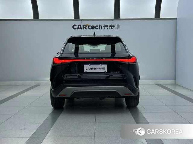 Lexus RX id 3920388 из Китая 29